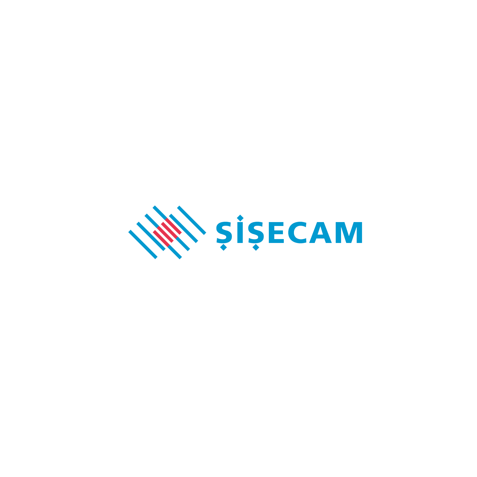şişecam